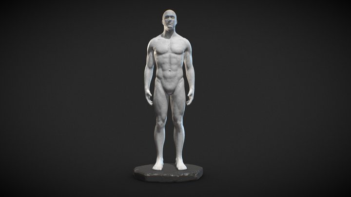 Male Anatomy Statue 3D Model