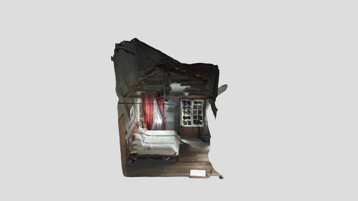 3D SCAN ROOM 3D Model