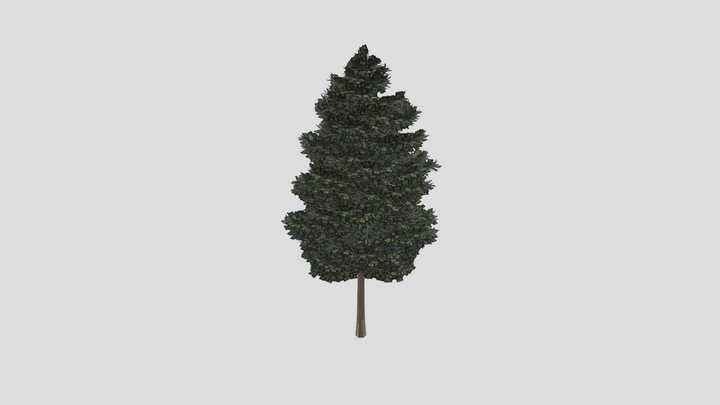 Tree 3D Model
