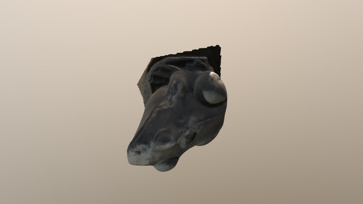 Frog Model 3D Model