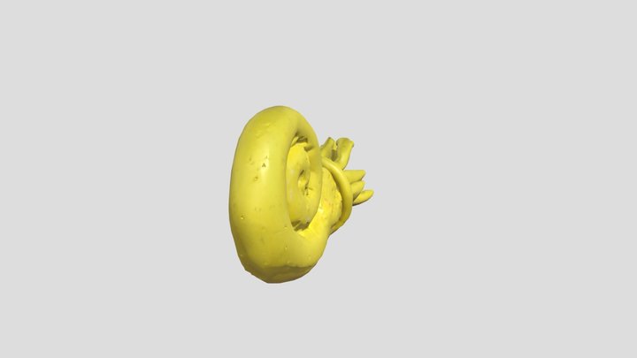 Barry – Free 3D Model STL