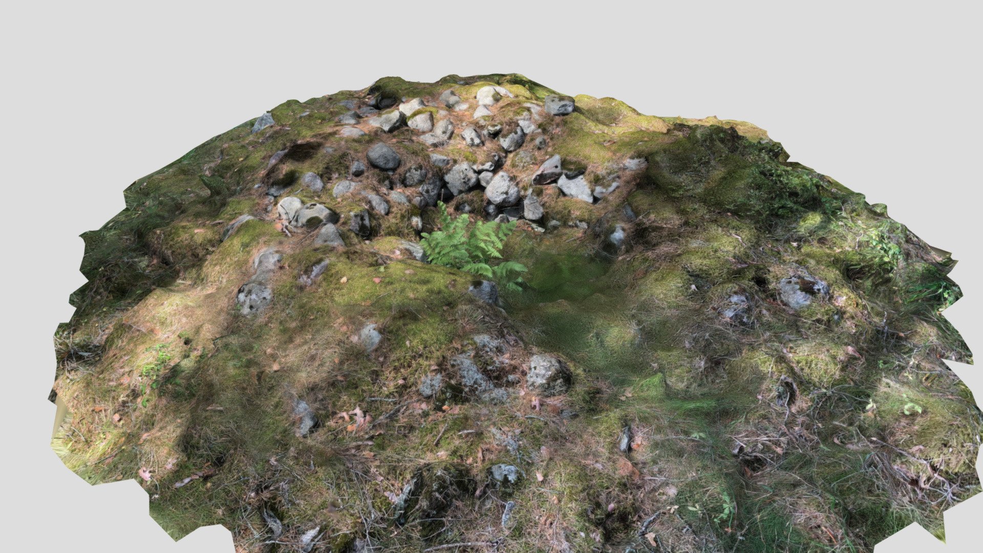 Burial cairn in Sjösäng 9, Raasepori, Finland