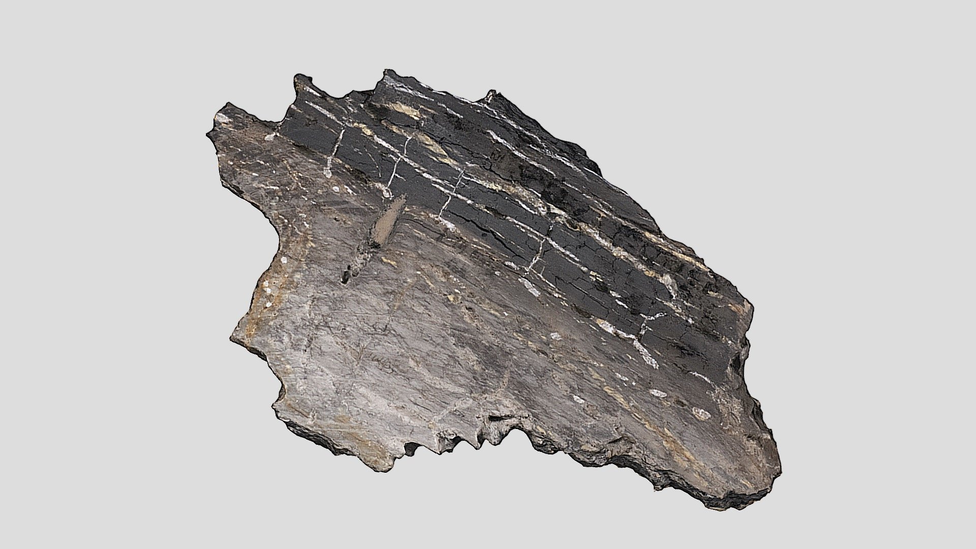 K-PG Boundary Shale Not Labeled