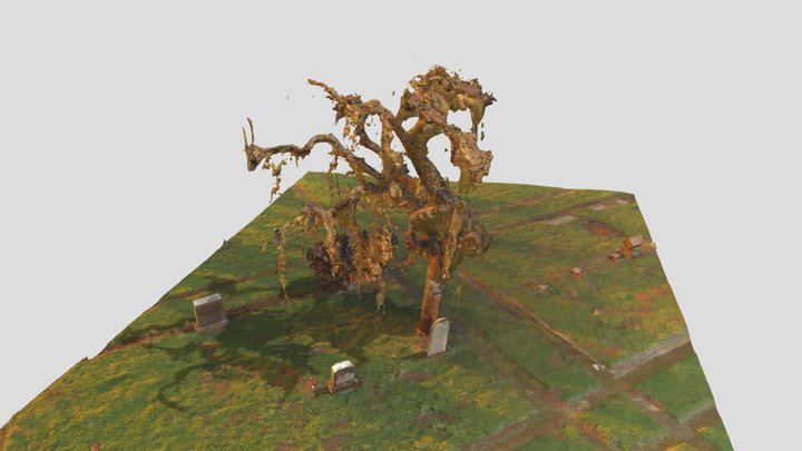 Winter Willow Tree - Jefferson Cemetery 3D Model