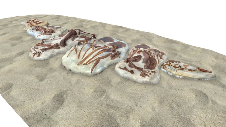 SA-CC036 Stegosaurus Dig 3D Model
