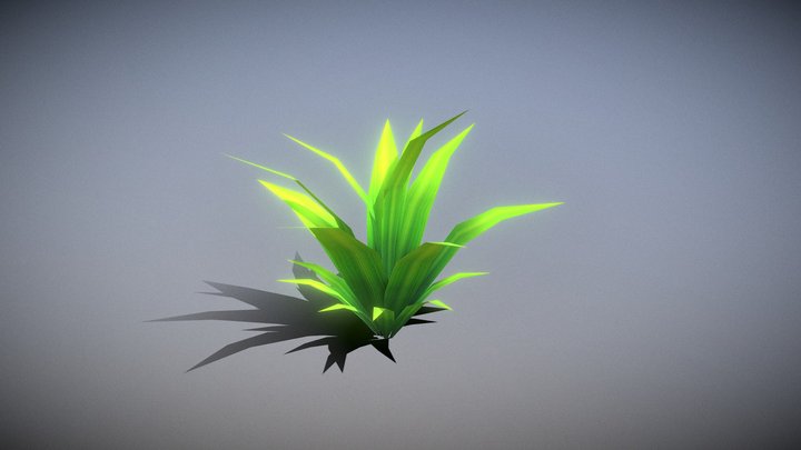 Grass01 3D Model
