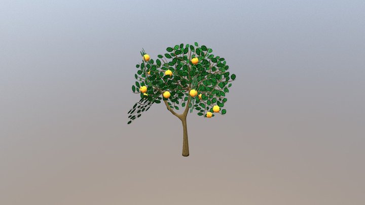 Orange Tree 3D Model