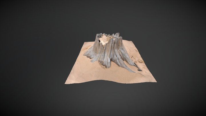 DuneStump2 3D Model