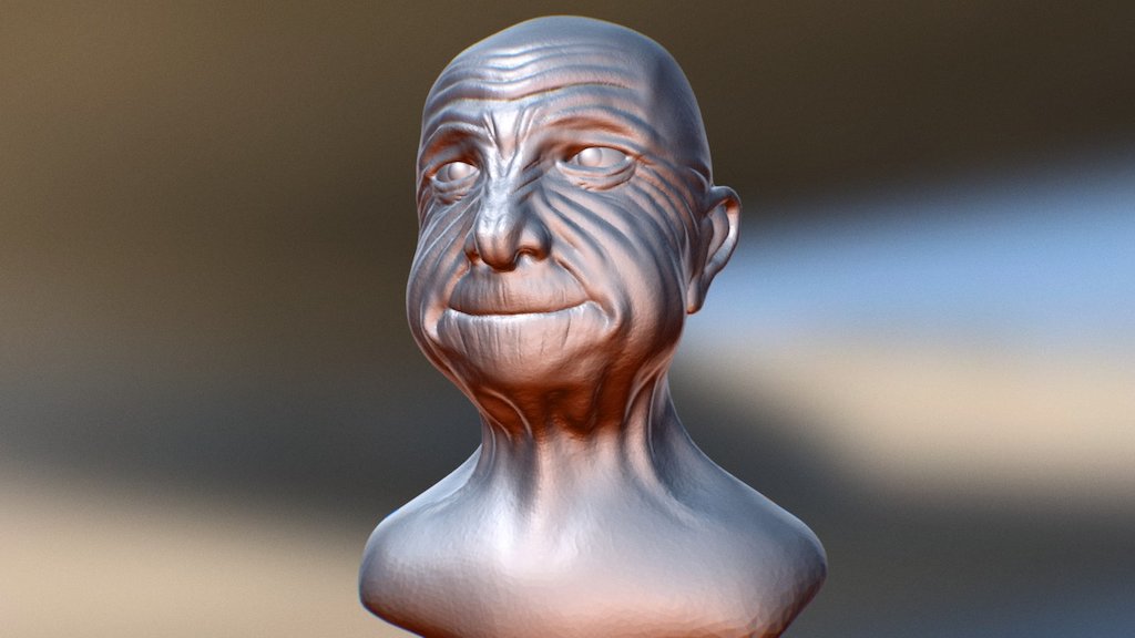 SculptJanuary#24 Worn Face