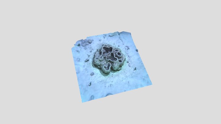 Sairee artificial reef, Koh Tao 3D Model