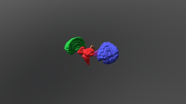 The Areas 3D Model