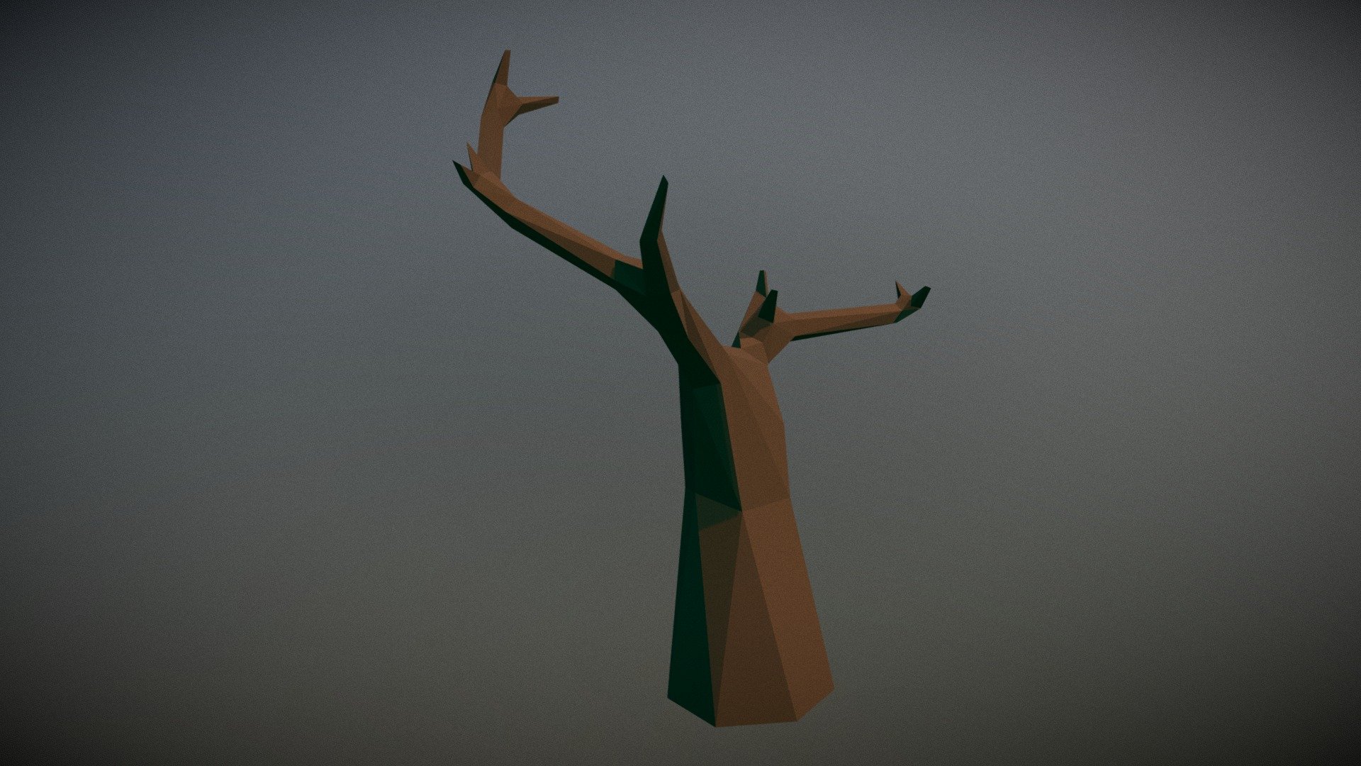 TreeWitchy
