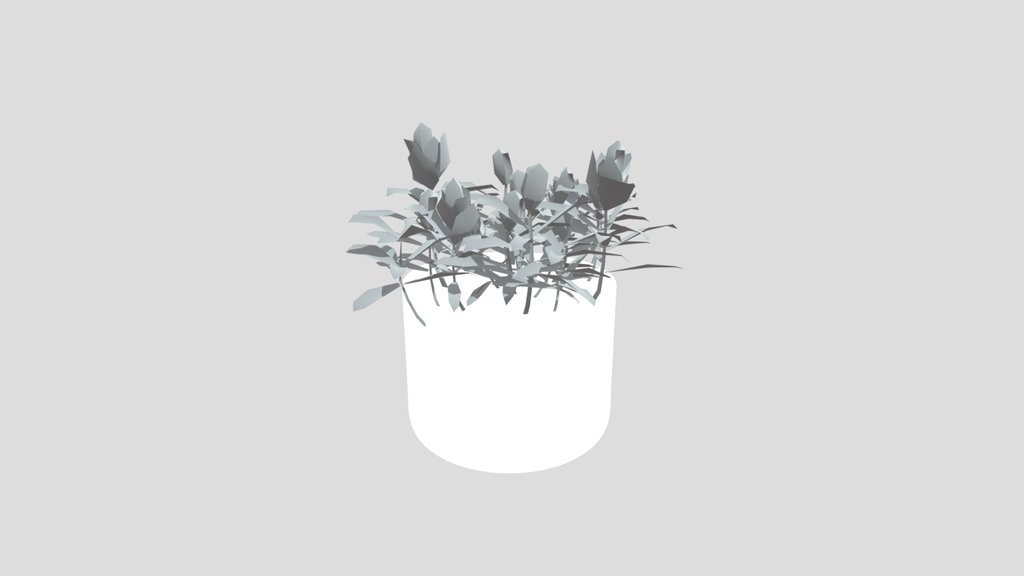 Plant Indian Lotus Pot Lrg