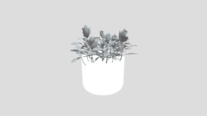 Plant Indian Lotus Pot Lrg – Kostenloses 3D-Modell STL