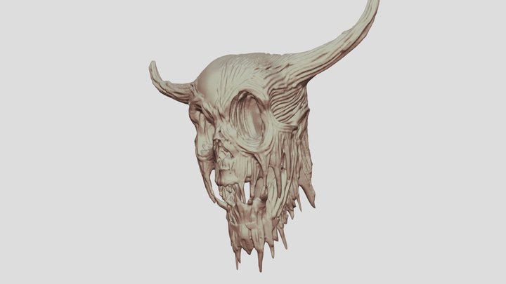 Flesh_skull 3D Model