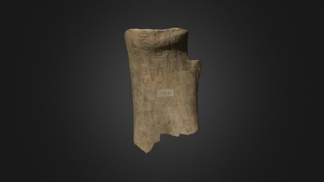 Oracle Bone, Or 7694/1595 3D Model