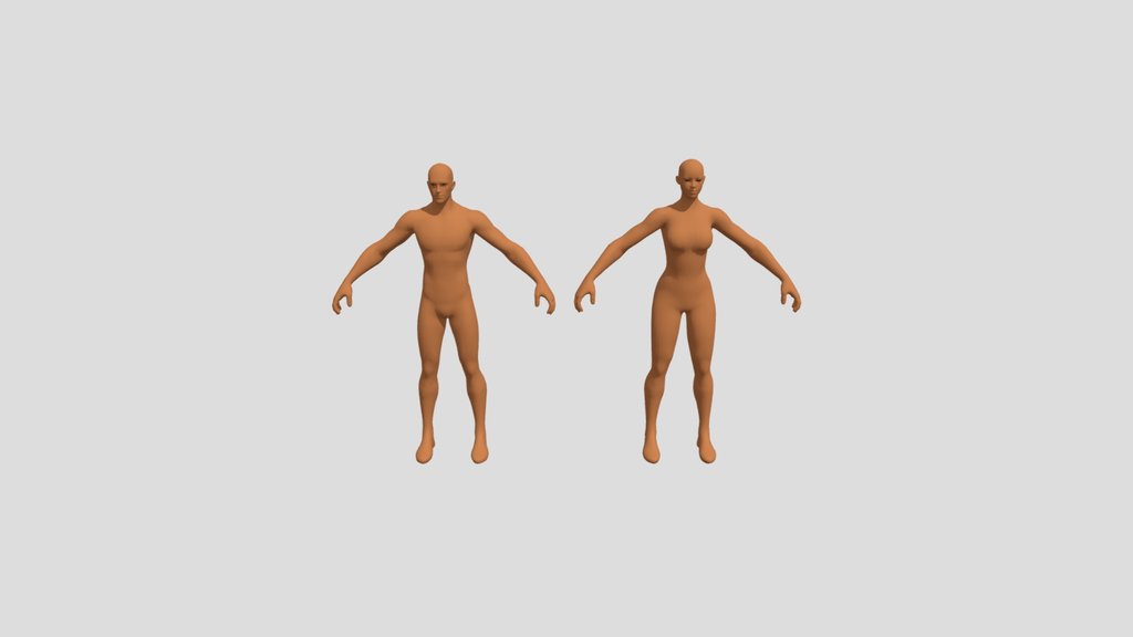 Human Male/Female Basemesh Rigged