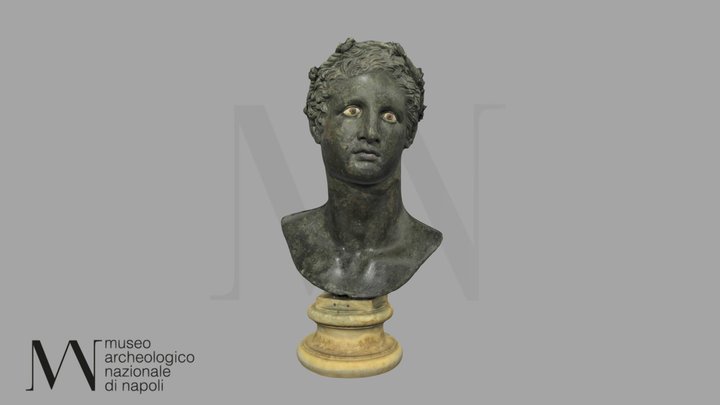 Busto di Eracle - inv.5594 3D Model