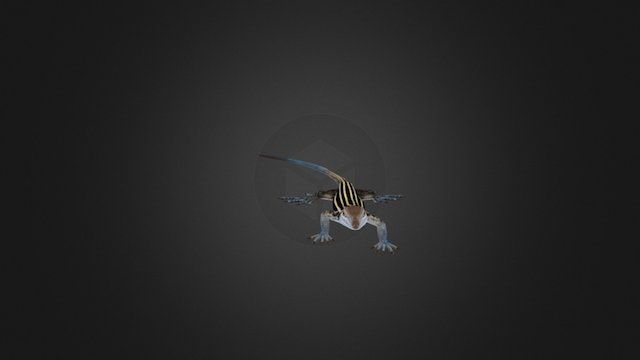 Cnemidophorus_action 3D Model