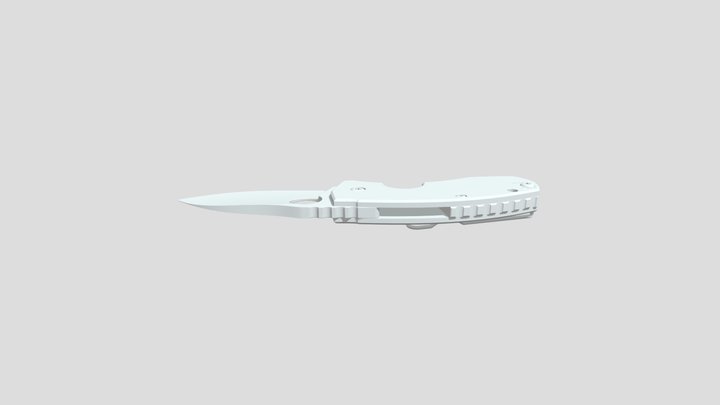 Knife, Unrendered 3D Model