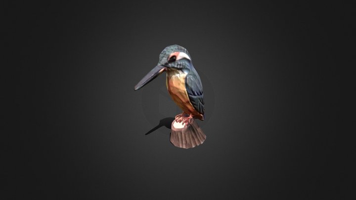 Wooden Kingfisher - Bird 3D Model