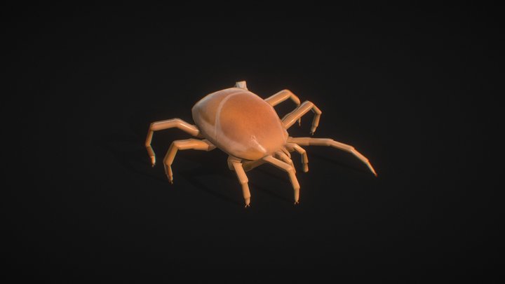 Animated Mite 3D Model