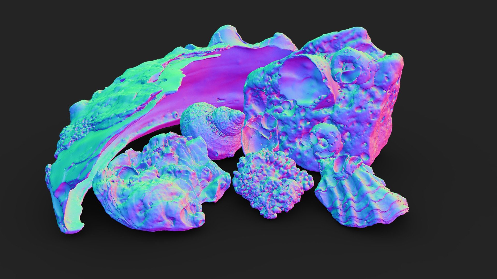 Shells sample (3D scan) Normal MAP - 3D model by 3D scan studio 