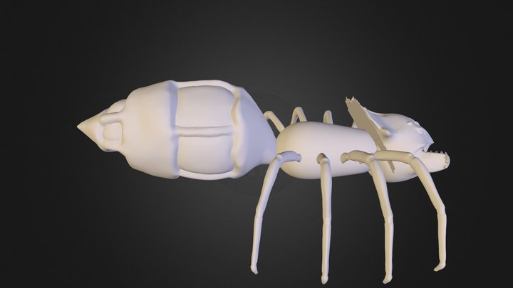 Spider Creature Model 3D Model