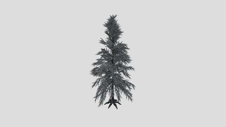 Pine Tree Variation – Free 3D Model STL