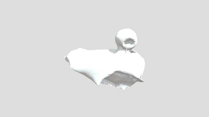 Sculpted bird scan 3D Model