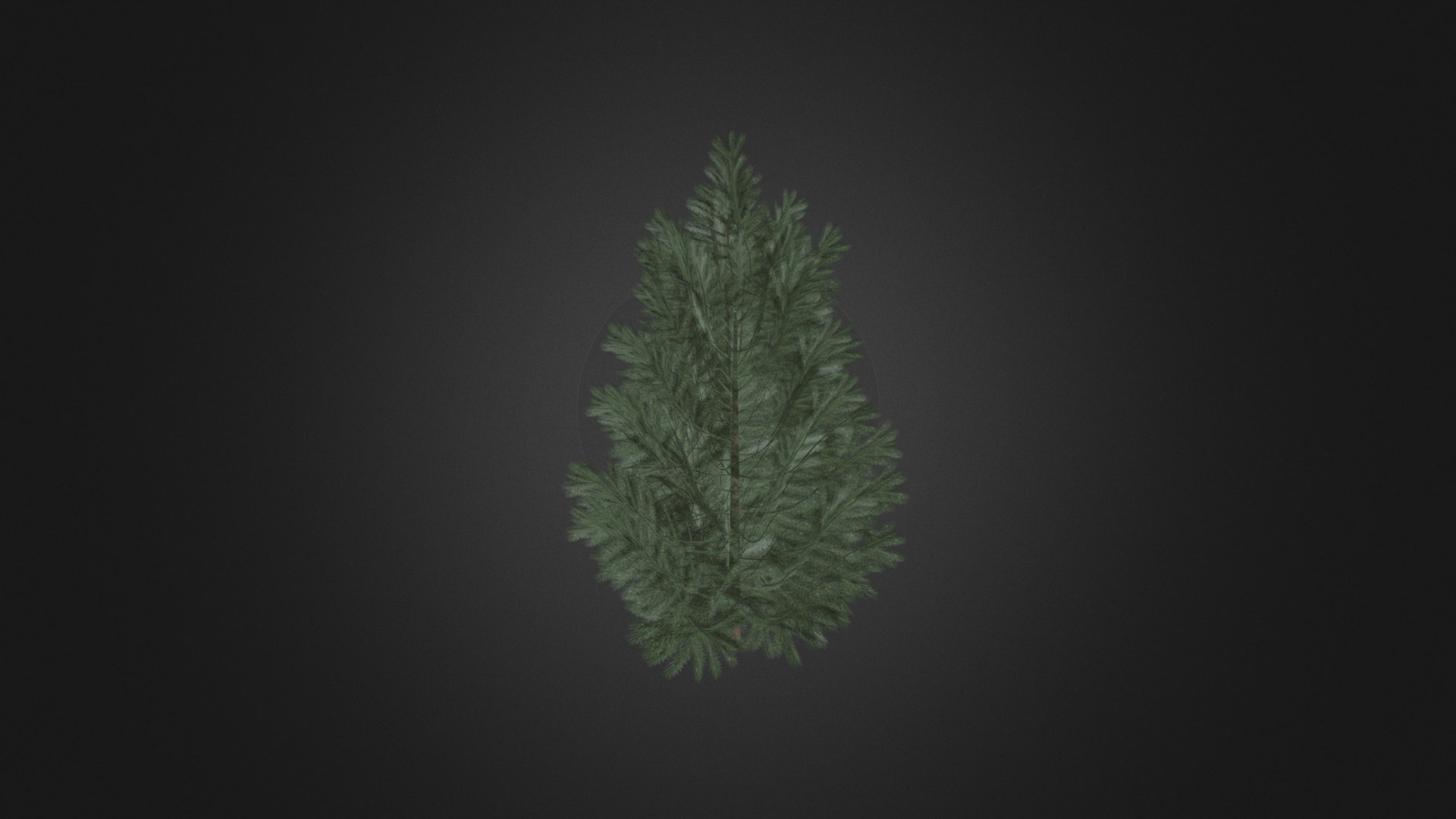 3D model European Black Pine 23 - This is a 3D model of the European Black Pine 23. The 3D model is about a tree with green leaves.