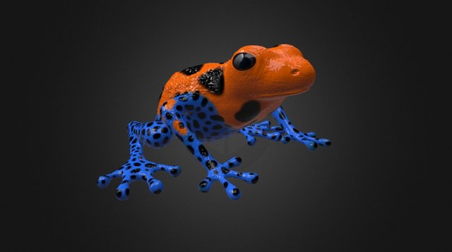 POISON DART FROG