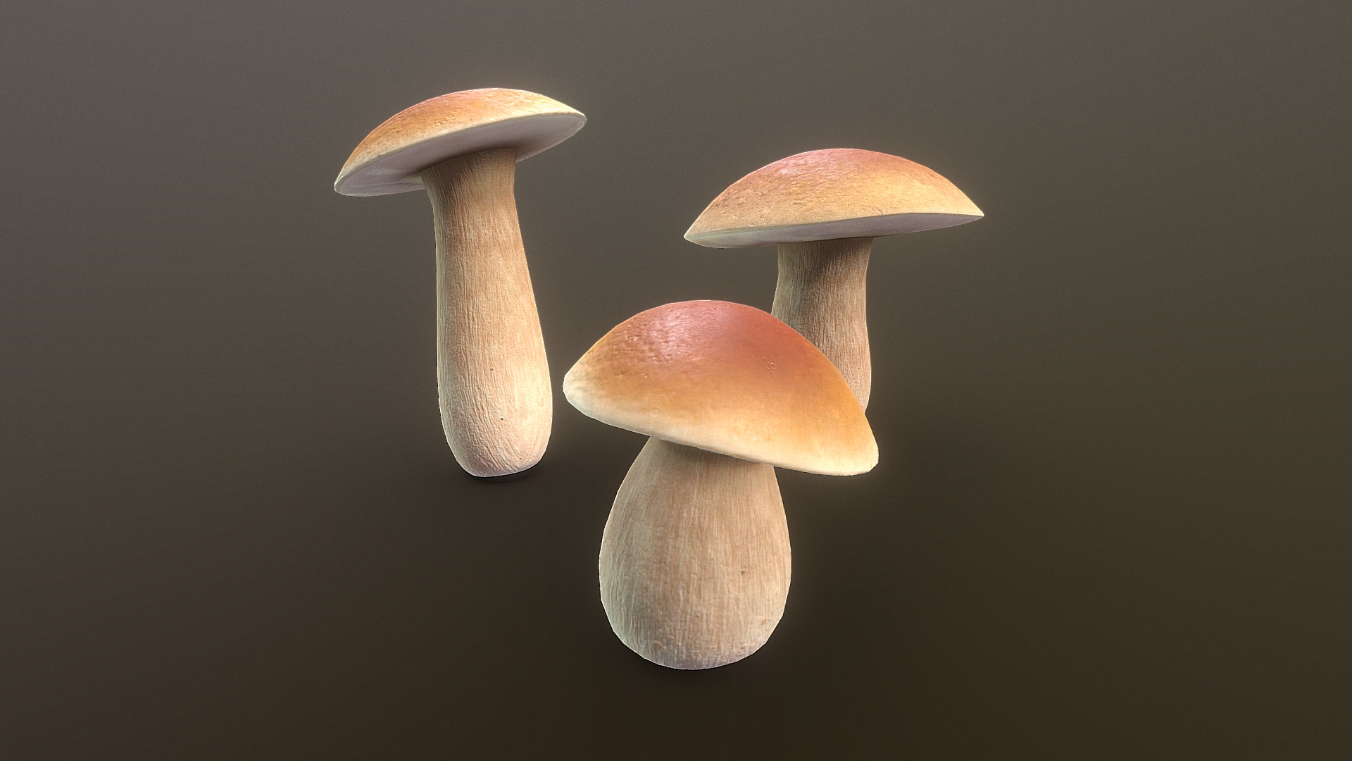 3D model Mushrooms (boletus chippewaensis) - This is a 3D model of the Mushrooms (boletus chippewaensis). The 3D model is about a group of mushrooms.