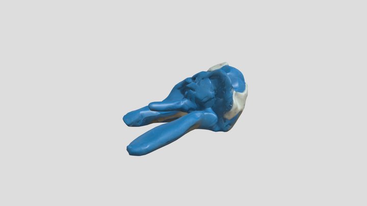 octopus – Modello 3D gratuito STL