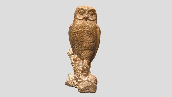 Wooden Owl 3D Model