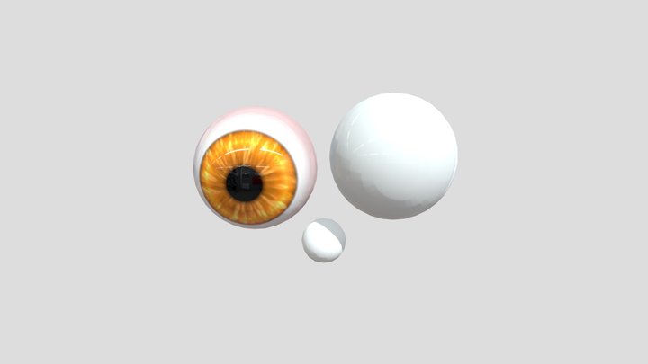 Eyeball 3D Model