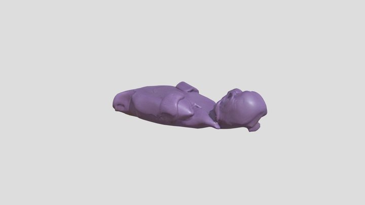 David by Anonymous – Gratis 3D-model STL
