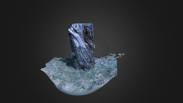 Chunk'O Wood 3D Model