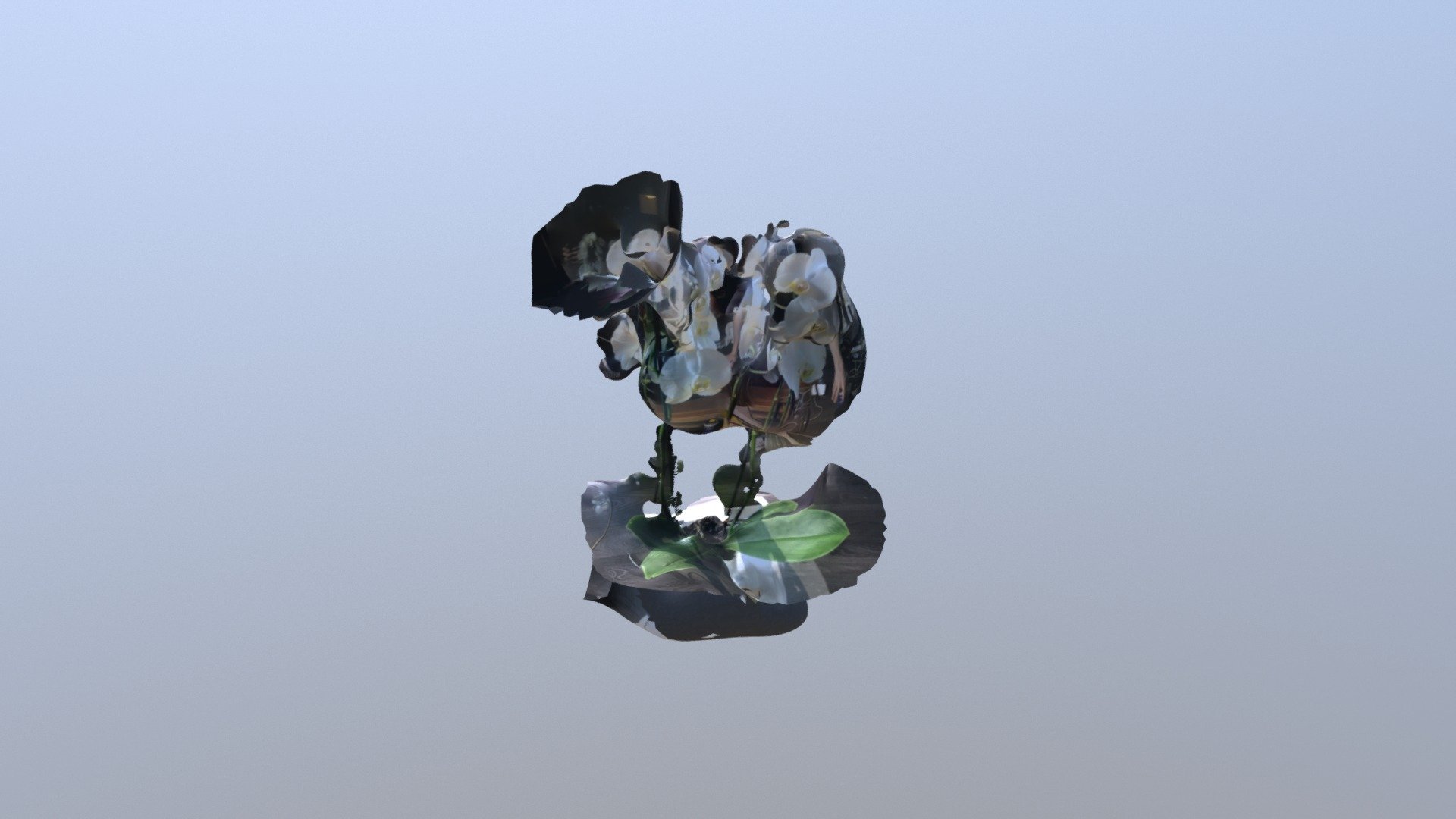 A TRNIO Model