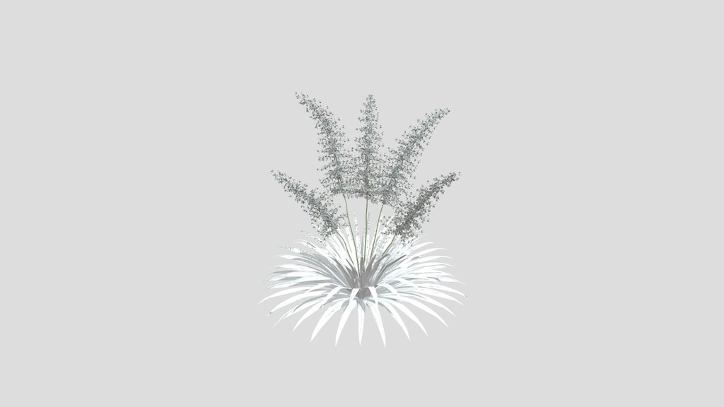 Sj Whisperwood Dream Bloom