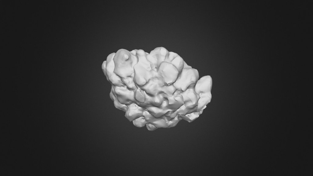 20251124_Hailstone_2