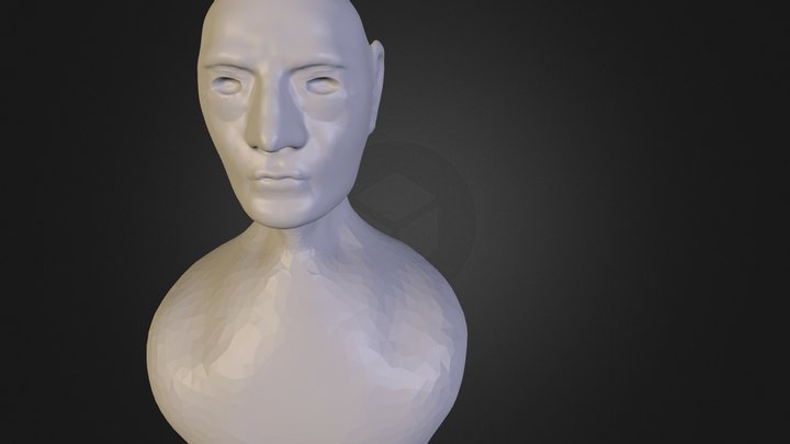 torso6 3D Model