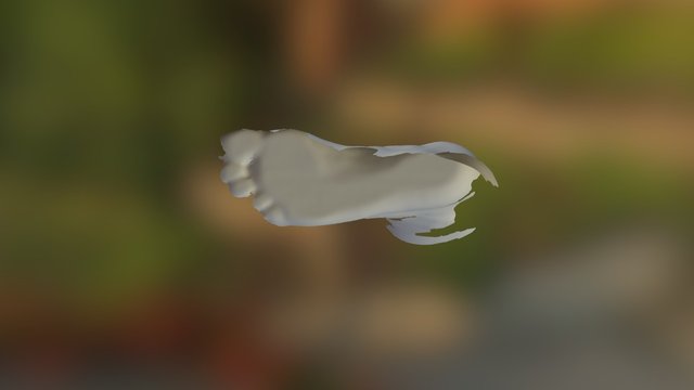 Foot Scan Sample I Qube 3D Model