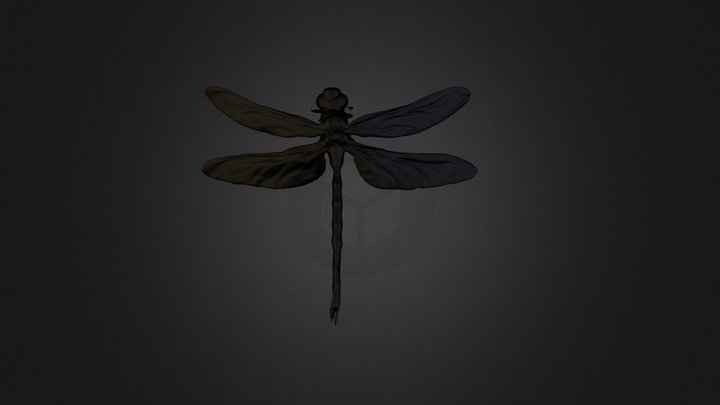 3D Scan Dragon Fly 3D Model