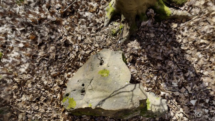 West Woods 11 – Free 3D Model STL