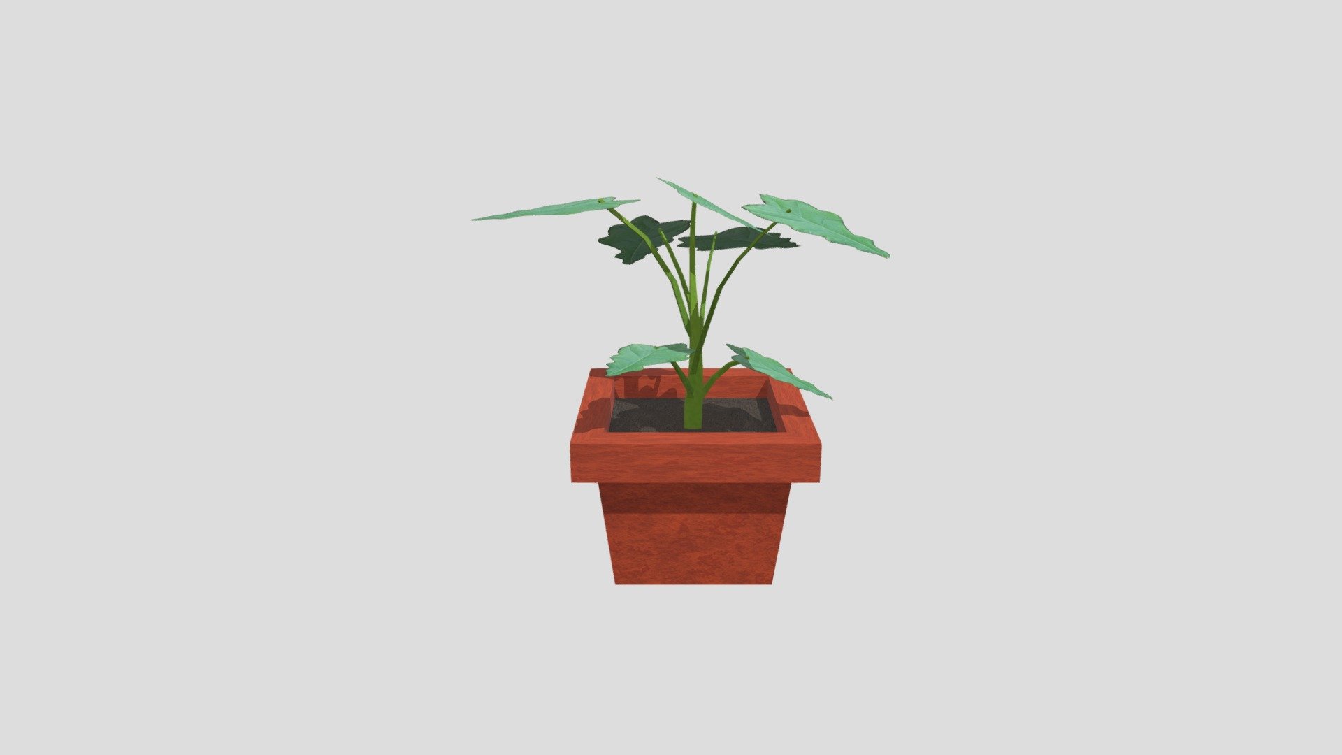 Plant 1