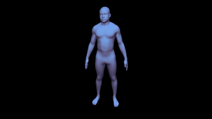 Fitnescity's 3D Body Model - Body Fat 3D Model