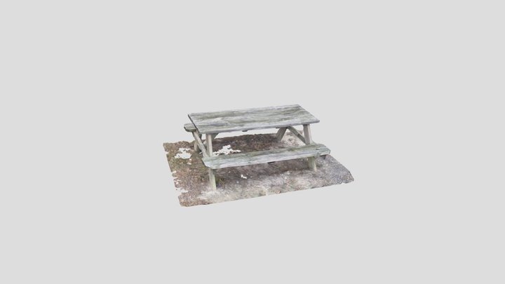 Mossy Picnic Table 3D Scan (RealityScan) 3D Model
