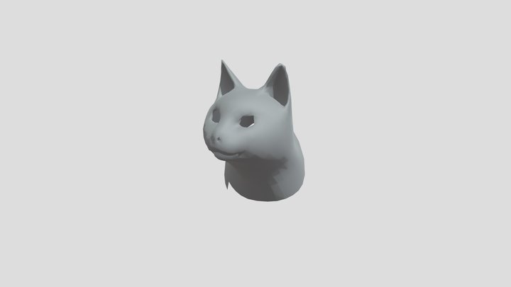 Cat rig skin Anim Test 3D Model