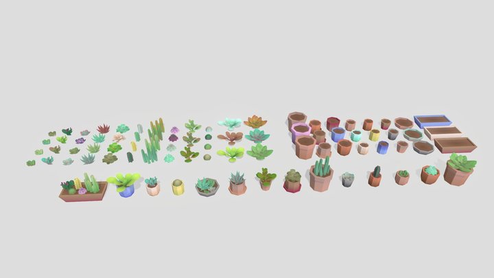 Low Poly Succulent Plant Set 3D Model
